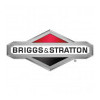Briggs & Stratton